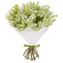 Bouquet of white lilac